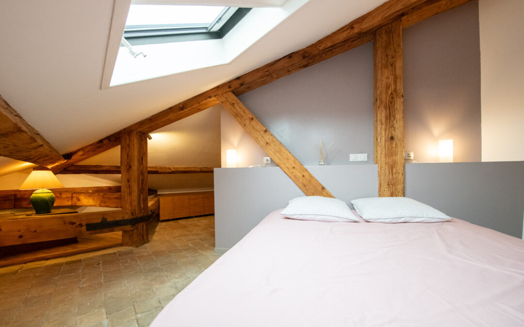 T4 MEUBLE CLIMATISE AVEC GARAGE A LOUER LYON 6